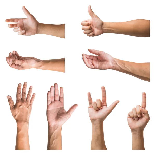 Set van verschillende gebaren en teken van de hand van de mens geïsoleerd op witte achtergrond. — Stockfoto