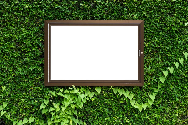 White color in aluminium frame on green leaves texture background. Creative layout in nature concept. Copy space for your display or montage design. Clipping path include in frame.