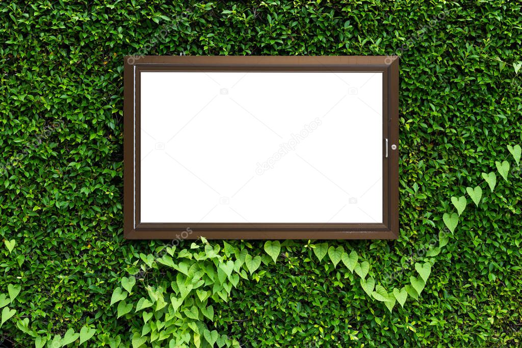 White color in aluminium frame on green leaves texture background. Creative layout in nature concept. Copy space for your display or montage design. Clipping path include in frame.