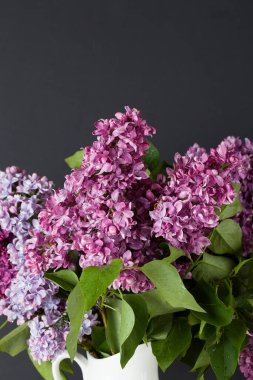 Siyah arka planda beyaz vazoda güzel mor leylak rengi. Tebrik kartı için tasarım. Şık bir düğün davetiyesi. Anneler günü kartı..