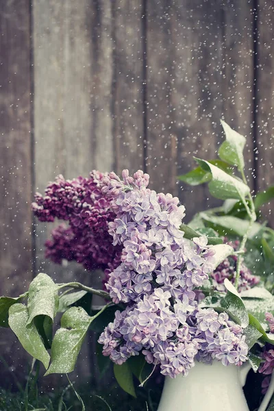 Beau Lilas Violet Printemps Vase Blanc Sur Fond Vieux Bois — Photo