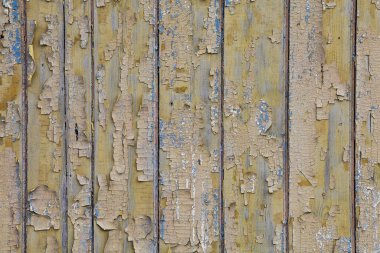 Mavi pul pul boyanmış eski ahşap bir duvar. Soluk tahta levhalar yakın plan. Boya soyuyordum. Hasarlı ahşap panellerin dokusu.