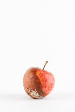  Beyaz arka planda çürük elma. Küresel açlık sorunu. aşırı tüketim kavramı.