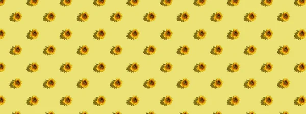 Trendy Sunlight Modello Estivo Realizzato Con Girasole Sfondo Giallo Chiaro — Foto Stock