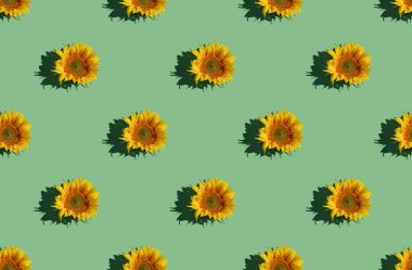 Parlak açık yeşil arka planda ay çiçeğiyle yapılan son moda güneş ışığı deseni