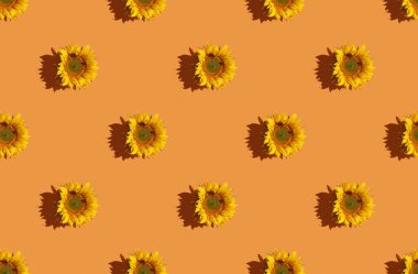 Parlak turuncu arka planda ay çiçeği desenli yaz ışığı