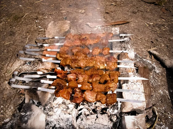 金属の焼串料理ケバブ 焼き肉はバーベキューで調理 バーベキュー新鮮な牛肉肉チョップ スライス 東部の伝統的な料理 シシカバブ — ストック写真