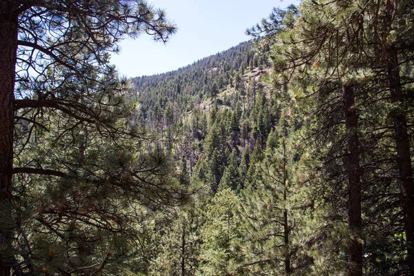 Helen Hunts Falls Hiking Trails Colorado — Stock Photo, Image