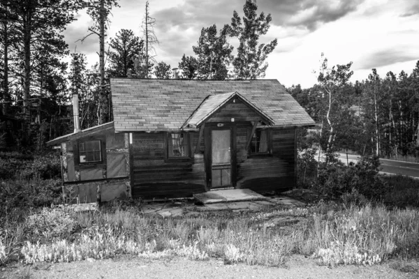 松林小木屋Allenspark Colorado的黑白摄影 — 图库照片