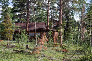Colorado Dağları Kabin 