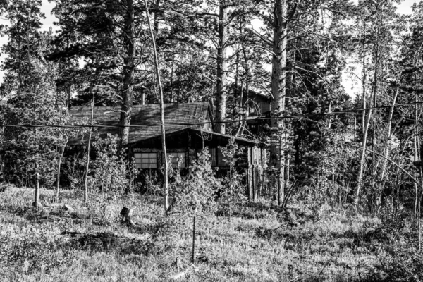 Black and White Photo of an Old Cabin in the Colorado Mountains