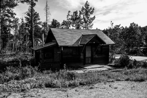 black and white photo of old cabin in Colorado