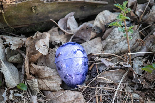 Világos lila Fém Húsvéti tojás rejtett barna levelek — Stock Fotó