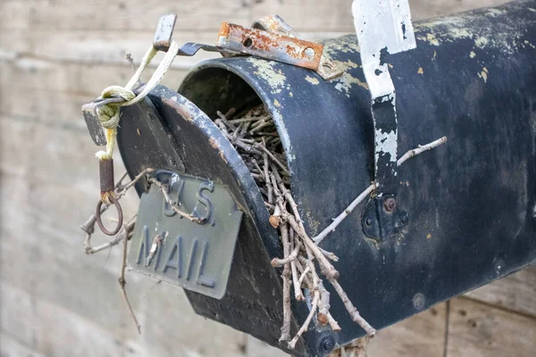 古い放棄された国の郵便箱の前の閉鎖小屋の側に鳥の巣がある — ストック写真