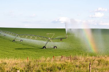 Güneşli bir günde güzel gökkuşağıyla sahada koşan bir pivot. 22 Temmuz 2019, ONell, Holt County, Nebraska