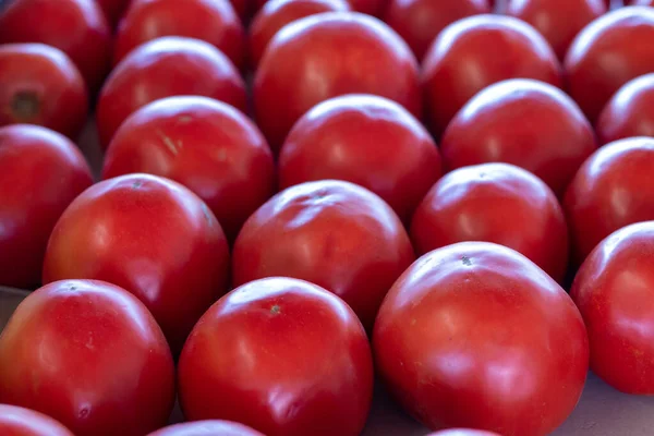 Rows of Red Tomato\'s in the Farmers Market . High quality photo