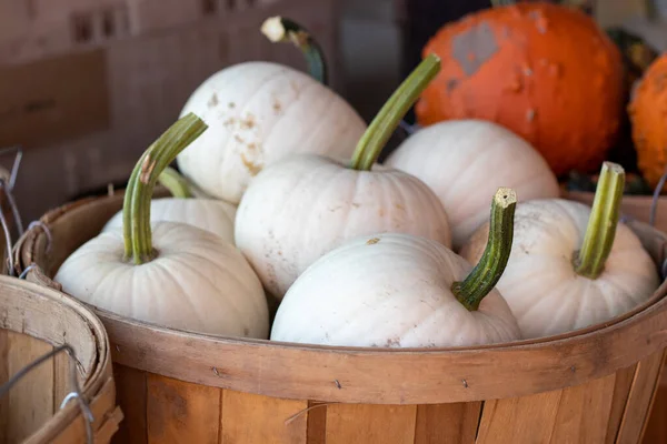 Side View Farmers Market Basket Full Vita Pumpor Högkvalitativt Foto — Stockfoto