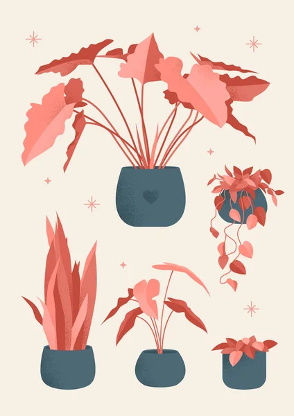 Retro Plakát Domácími Rostlinami Vytváří Pohodlí Zdobí Interiér Vektorová Ilustrace — Stockový vektor