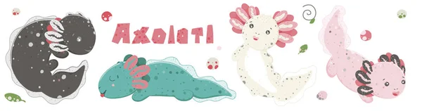 Söt kawaii axolotls, baby amfibiska ritning. Söt djur ritning, rolig tecknad illustration. Platt stil design. Mer från Ambystoma mexicanum — Stock vektor