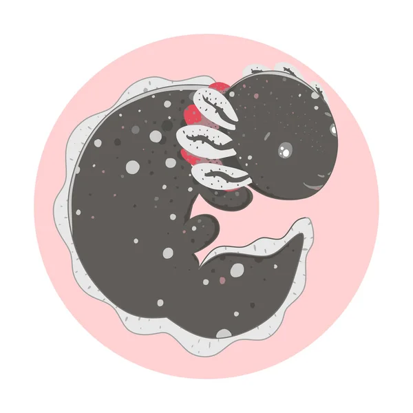 Cute Kawaii Axolotl, rysunek płazów dziecka. Cute rysunek zwierząt, śmieszne ilustracji kreskówki. Płaski Design. Ambystoma mexicanum — Wektor stockowy