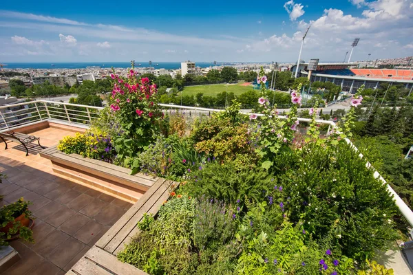 Hermosa Terraza Moderna Con Muchas Flores Tesalónica Grecia — Foto de Stock