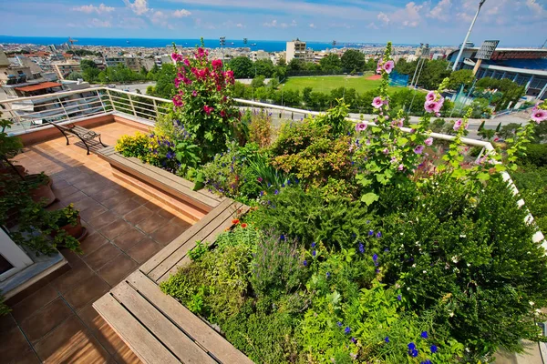 Belo Terraço Moderno Com Muitas Flores Salónica Grécia — Fotografia de Stock