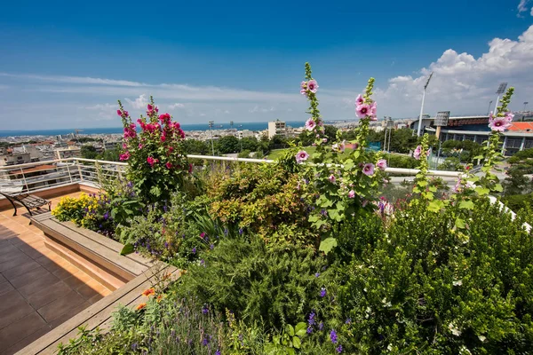 Hermosa Terraza Moderna Con Muchas Flores Tesalónica Grecia — Foto de Stock