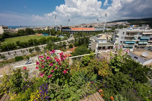 Schöne Moderne Terrasse Mit Vielen Blumen Thessaloniki Griechenland — Stockfoto