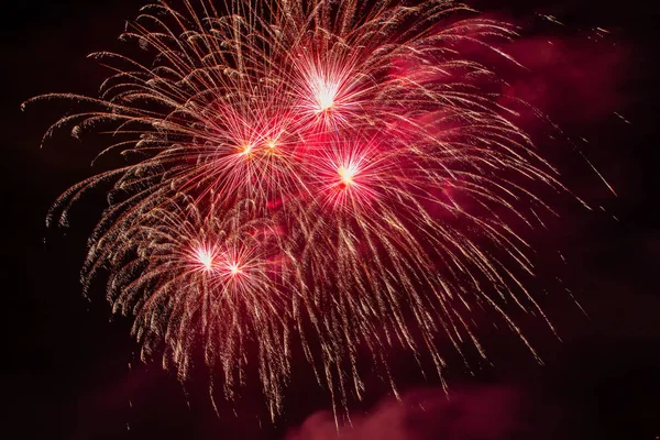 Fuegos Artificiales Coloridos Varios Colores Sobre Cielo Nocturno — Foto de Stock