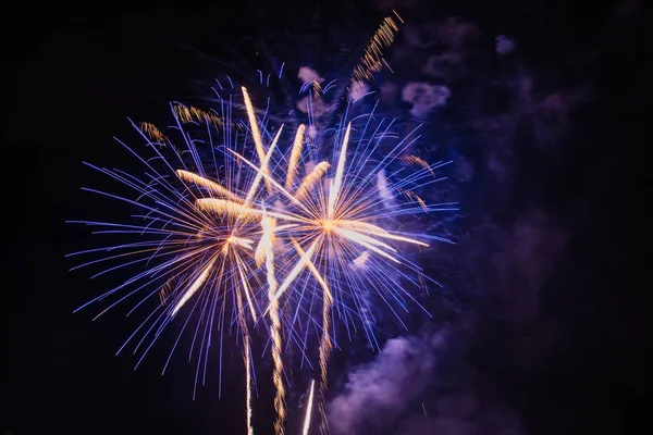 Fuegos Artificiales Coloridos Varios Colores Sobre Cielo Nocturno — Foto de Stock