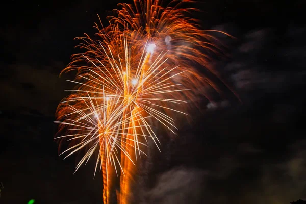 stock image Colorful fireworks of various colors over night sky
