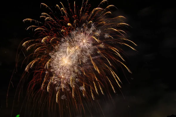 Fuegos Artificiales Coloridos Varios Colores Sobre Cielo Nocturno — Foto de Stock