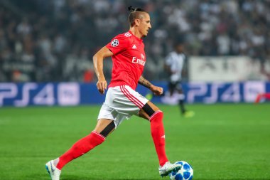 Thessaloniki, Yunanistan - 29 Ağustos 2018: Oyuncu, Benfica Ljubomir Fejsa eylem Uefa Şampiyonlar Ligi Play-off mücadelesi sırasında 2 bacak Paok vs Fc Benfica Toumba Stadı'nda oynanan