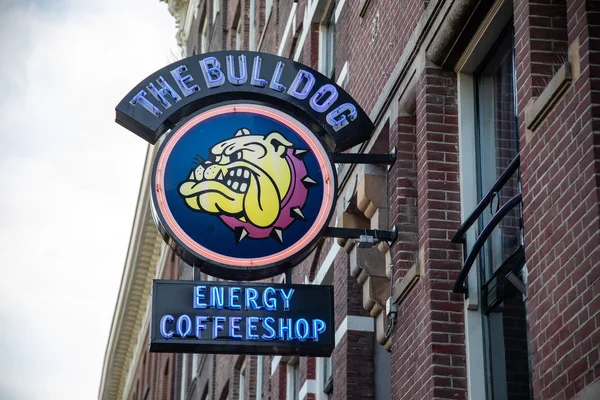 Amsterdam Nederländerna Juli 2018 Den Berömda Coffeeshop Bulldog Amsterdam City — Stockfoto