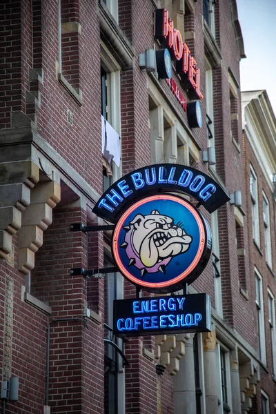 Amsterdam Niederlande Juli 2018 Die Berühmte Coffeeshop Bulldogge Amsterdam City — Stockfoto