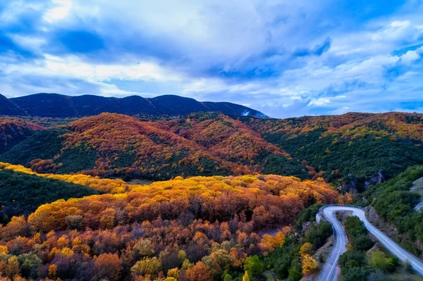 Luftaufnahme Des Waldes Herbst Mit Straße Epirus Zagorohoria Griechenland — Stockfoto