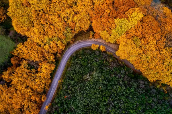 Luftaufnahme Des Waldes Herbst Mit Straße Epirus Zagorohoria Griechenland — Stockfoto