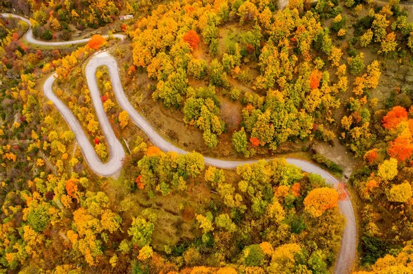 Воздушный Вид Лес Осенью Дороги Эпир Загорохория Греция — стоковое фото