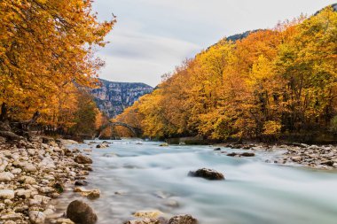 Klidonia Zagoria, Epir, Batı Yunanistan eski taş köprü. Bu kemer köprü uzun kemer 1853 yılında inşa ile. (Yumuşak odak) Uzun pozlama ND filtre kullanma