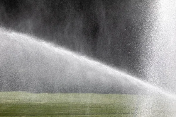 Sprinkler System Working Fresh Green Grass Football Soccer Stadium — Stock Photo, Image