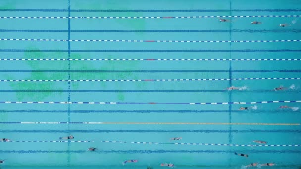 Aerial View Swimming Pool Marked Lanes Swimmers — Stock Video