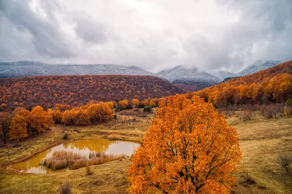 Two Seasons Winter Autumn Scene Area Vermio Northern Greece Captured — Stock Photo, Image