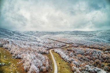 Havadan görünümü Vermio Kuzey Yunanistan'da alanında bir yol ile karlı ormanı. Yukarıdan bir dron ile yakalanan.