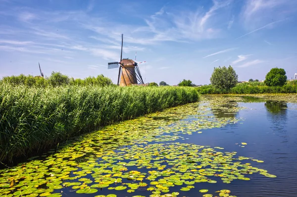 Nézd Hagyományos Szélmalmok Kinderdijk Hollandia Rendszer Szélmalmok Épült 1740 Körül — Stock Fotó