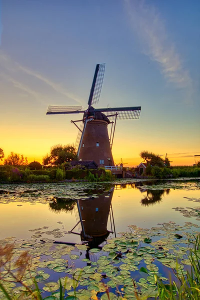 Över Traditionella Väderkvarnar Vid Solnedgången Kinderdijk Nederländerna Detta System Väderkvarnar — Stockfoto