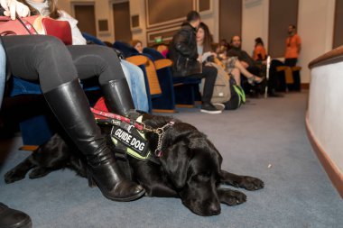 Thessaloniki, Yunanistan - 9 Mart 2018: rehber köpek Zannas sinemada güneşlikler için özel bir tarama sırasında sinema oturan ile kör adam