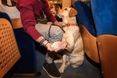 Thessaloniki, Yunanistan - 9 Mart 2018: rehber köpek Zannas sinemada güneşlikler için özel bir tarama sırasında sinema oturan ile kör adam