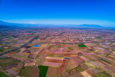 Orchard şeftali ağaçlarının baharda çiçek açmış. Drone ile hava atış