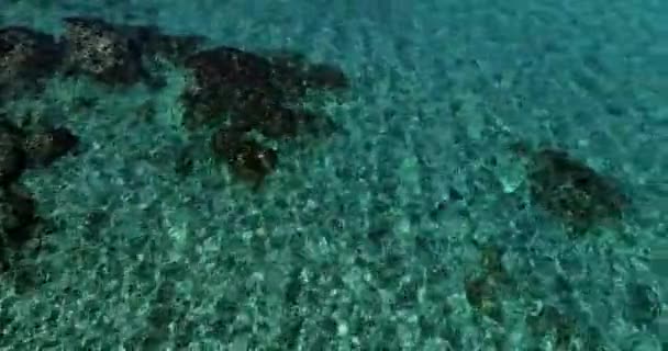 シトニア ハルキディキ ギリシャで小さな波で青緑色の熱帯水の表面にドローンと空中飛行 — ストック動画