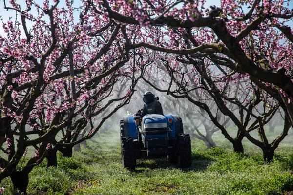 Agricultor con tractor que utiliza un pulverizador de chorro de aire con una sustancia química en — Foto de Stock